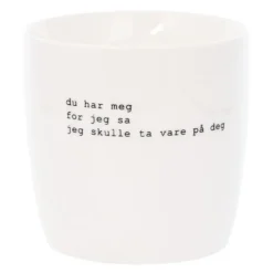 Trygve Skaug krus du har meg 30 cl hvit