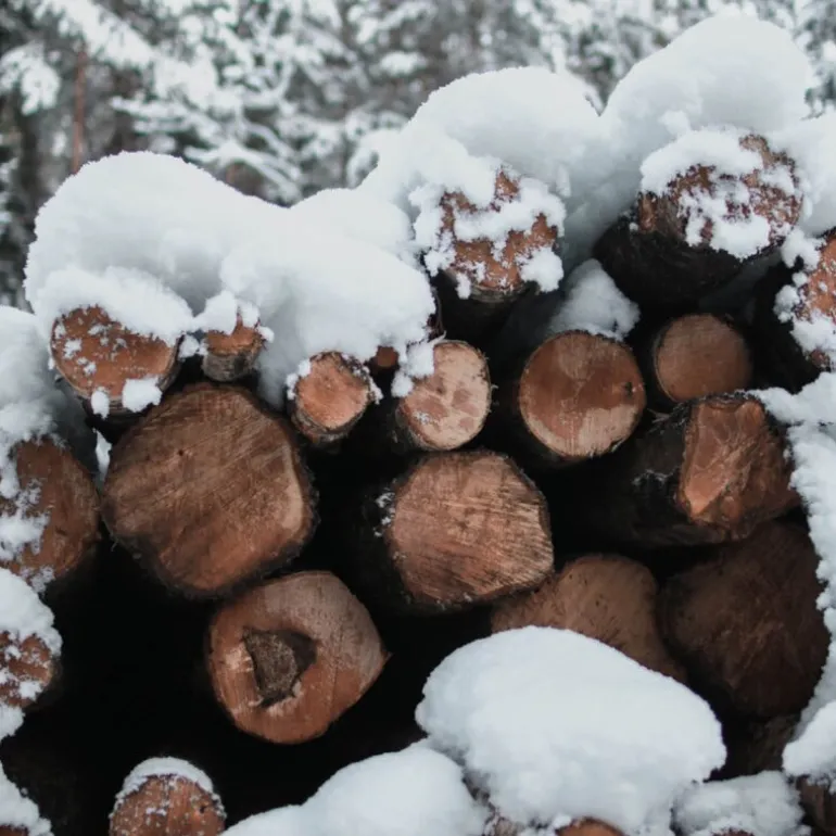 Woodstokk kopp med skål 20 cl